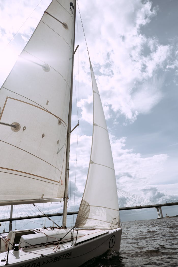 A sailboat gracefully glides across the open sea under bright, sunny skies, offering a sense of freedom and adventure.